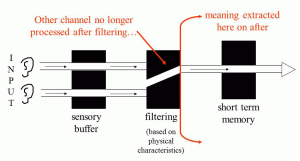 Theories of Selective Attention in Psychology 3 broadbent attention