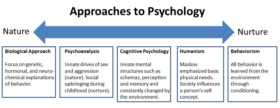 Issues and Debates in Psychology (A-Level Revision) 1 nature nurture psychology