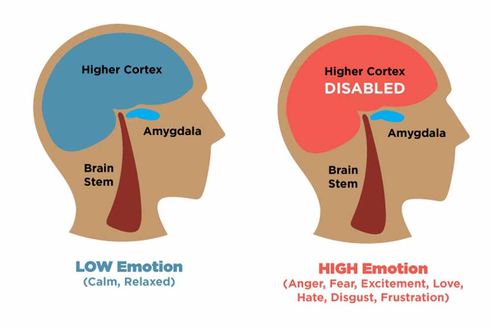 Amygdala Hijack: How It Works, Signs, & How To Cope 1 Amygdala hijack