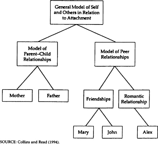 Attachment Theory In Psychology 6 complex hierarchical structure of attachment relationships