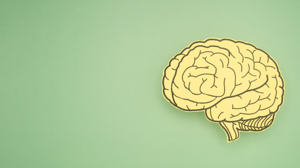 How Did Phineas Gage Die? 1 brain on green background 1