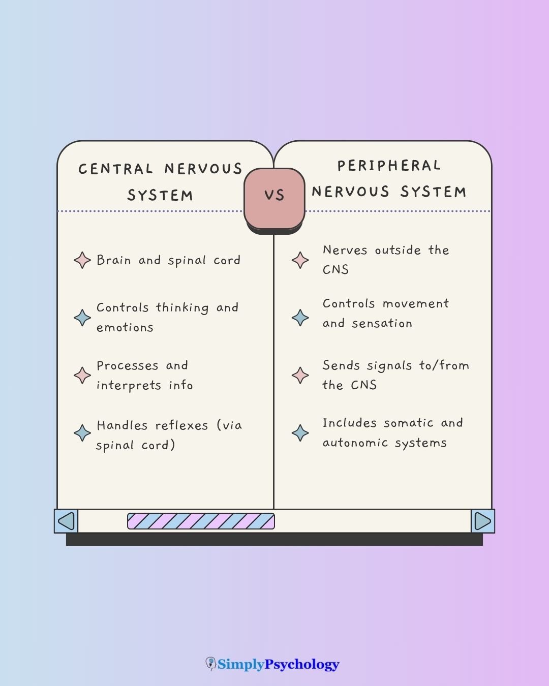 A comparison table about the differences between the central nervous system and the peripheral nervous system