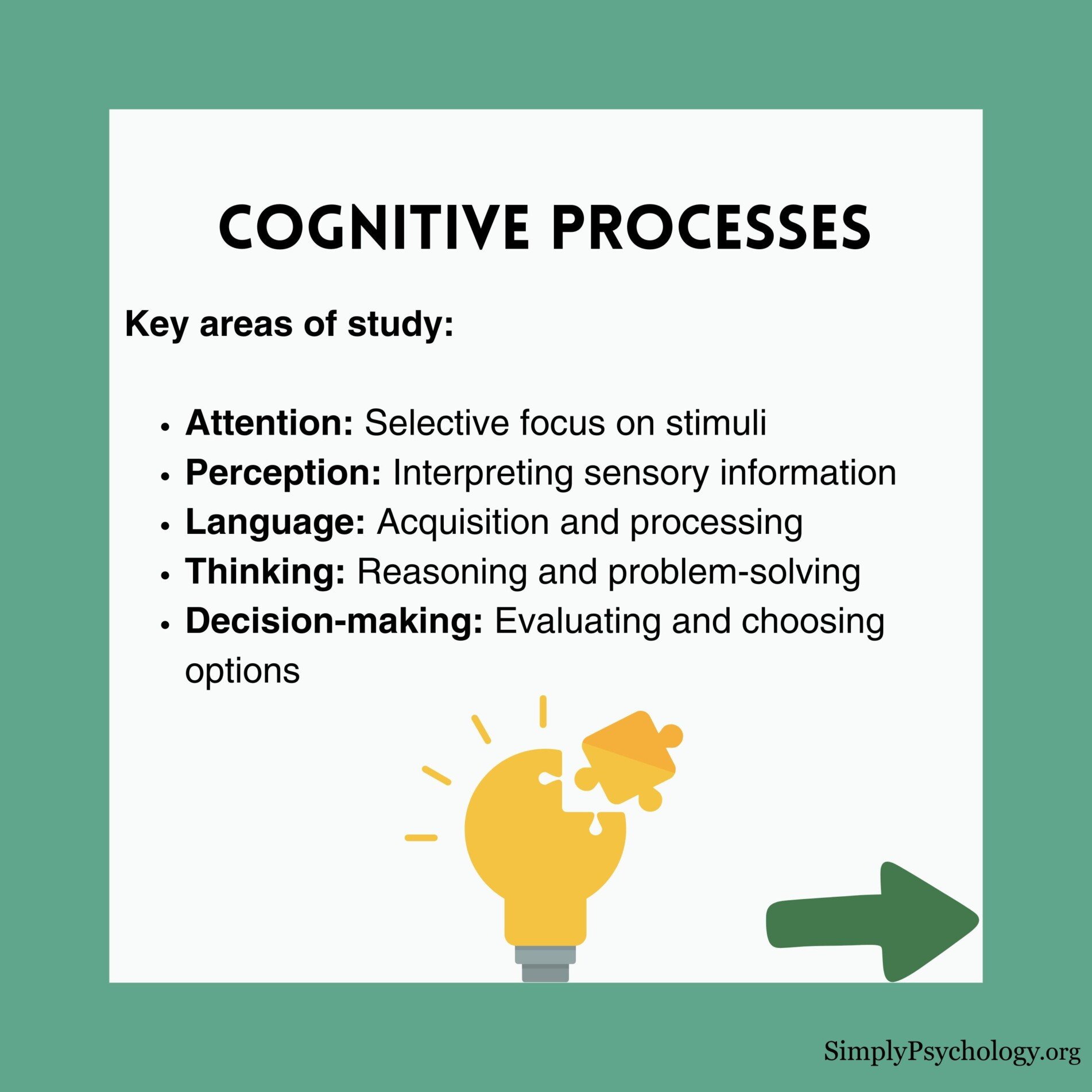 cognitive approach 5