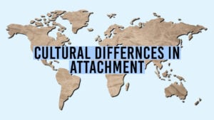 Van Ijzendoorn & Kroonenberg: Cultural Variations in Attachment 20 cultural differences 1