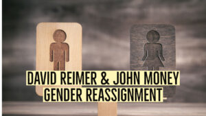 david reimer and john money gender 1