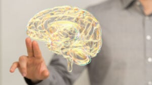 What is the Default Mode Network? 2 Default Mode Network DMN 1 2