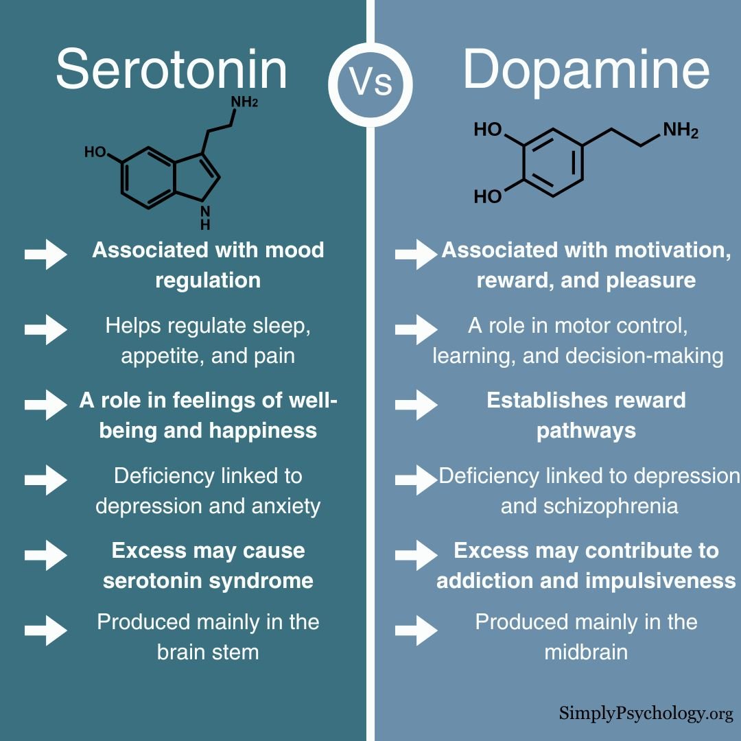 Dopamine Vs Serotonin A split screen infographic with serotonin on one side and dopamine on the other side. key differences in arrowed bullet points in a list for each one.