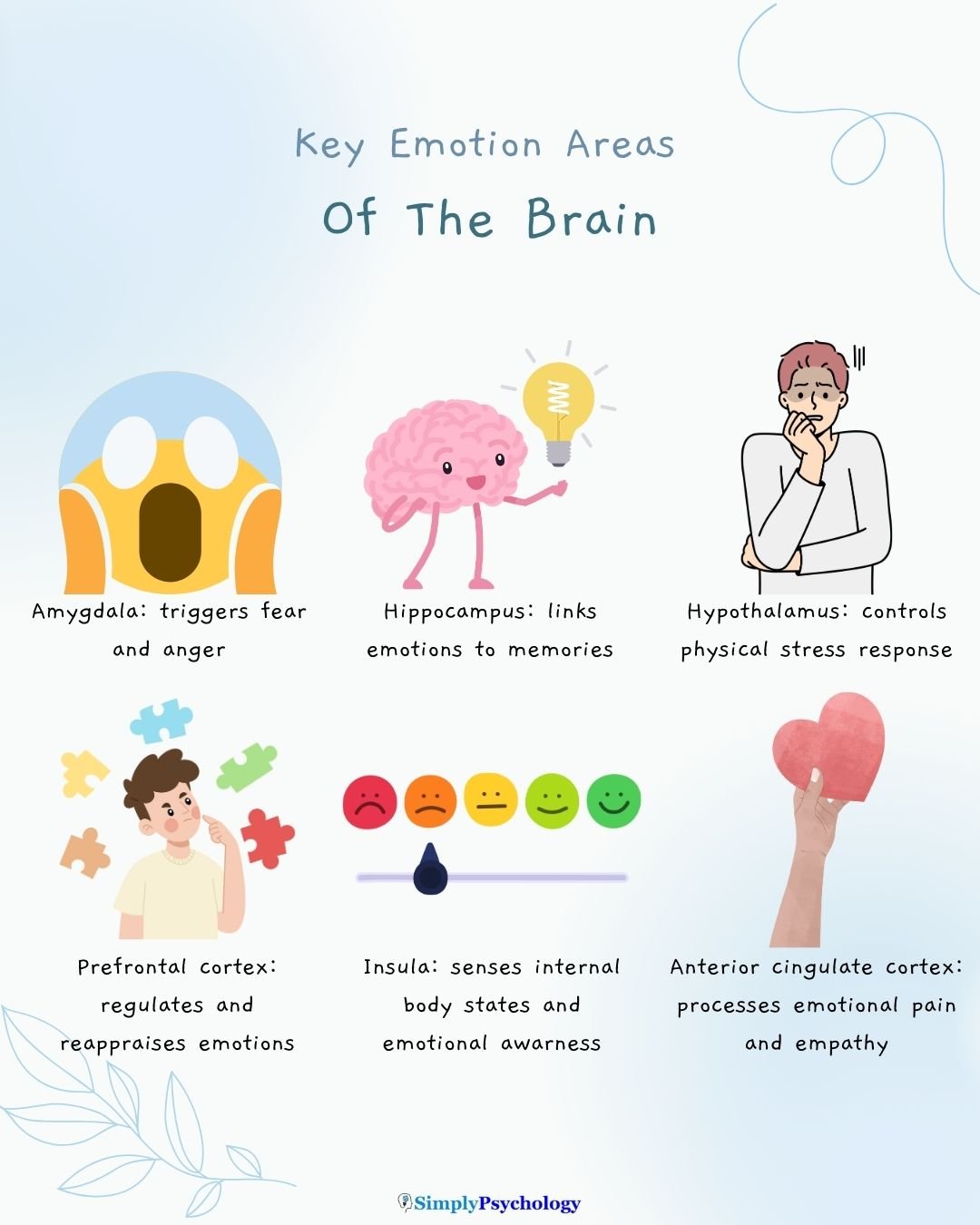 Emotions Brain Infographic titled "key emotion areas of the brain" with brief descriptions of 6 key areas alongside associated images such as the amygdala, hippocamps, and prefrontal cortex.