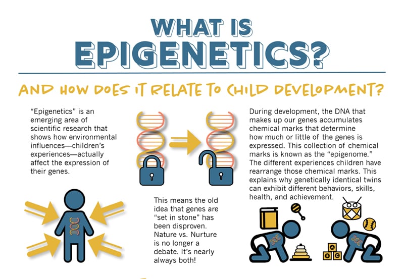 Nature vs. Nurture Debate In Psychology 4 epigenetics