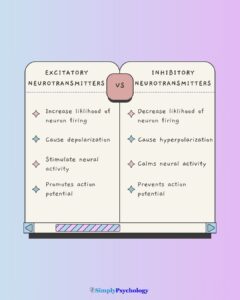 Excitatory Vs. Inhibitory Neurotransmitters 14 A comparison table outlining the differences between Excitatory Vs Inhibitory Neurotransmitters