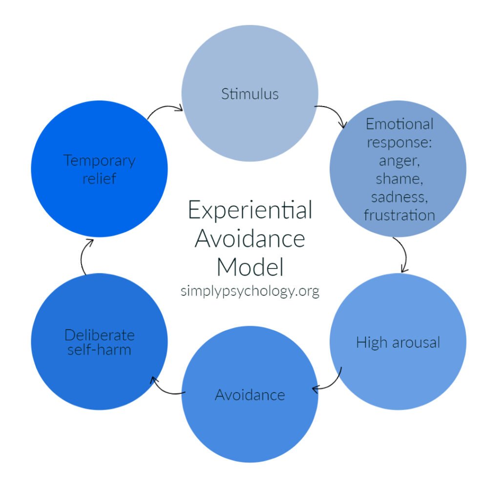 Emotion Regulation 2 Experiential Avoidance Model 1