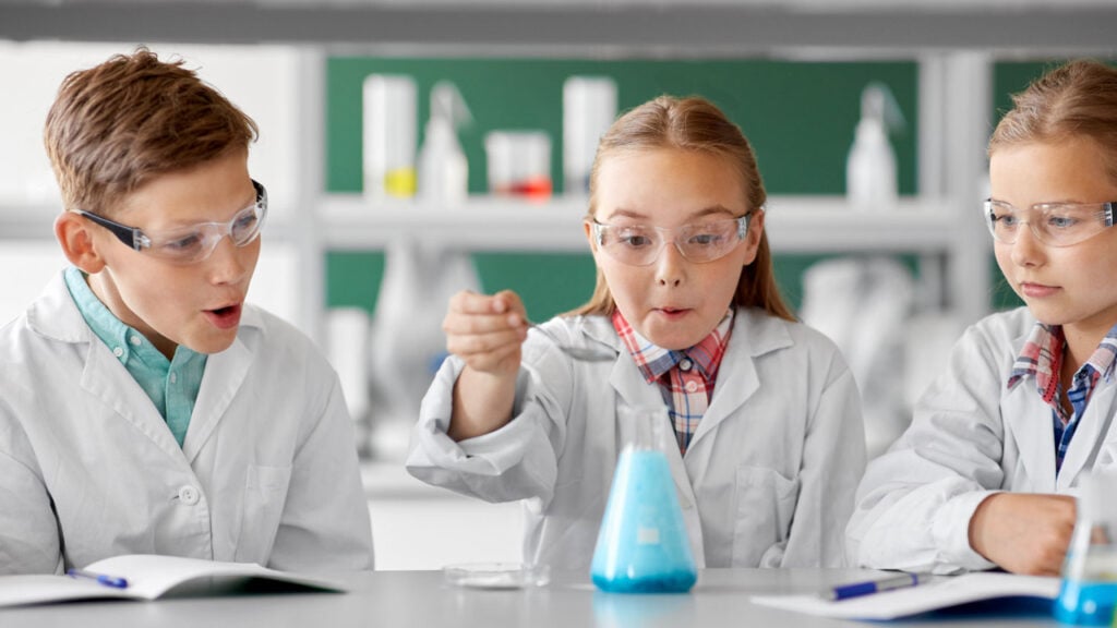 Formal Operational Stage of Cognitive Development 1 formal operational stage