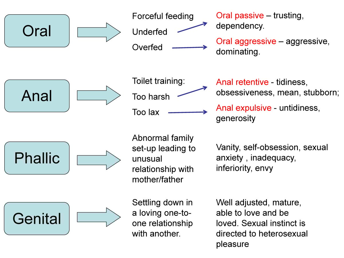 Freud's Psychosexual Theory and 5 Stages of Human Development 4 psychosexual stages