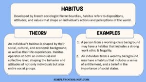 Habitus3