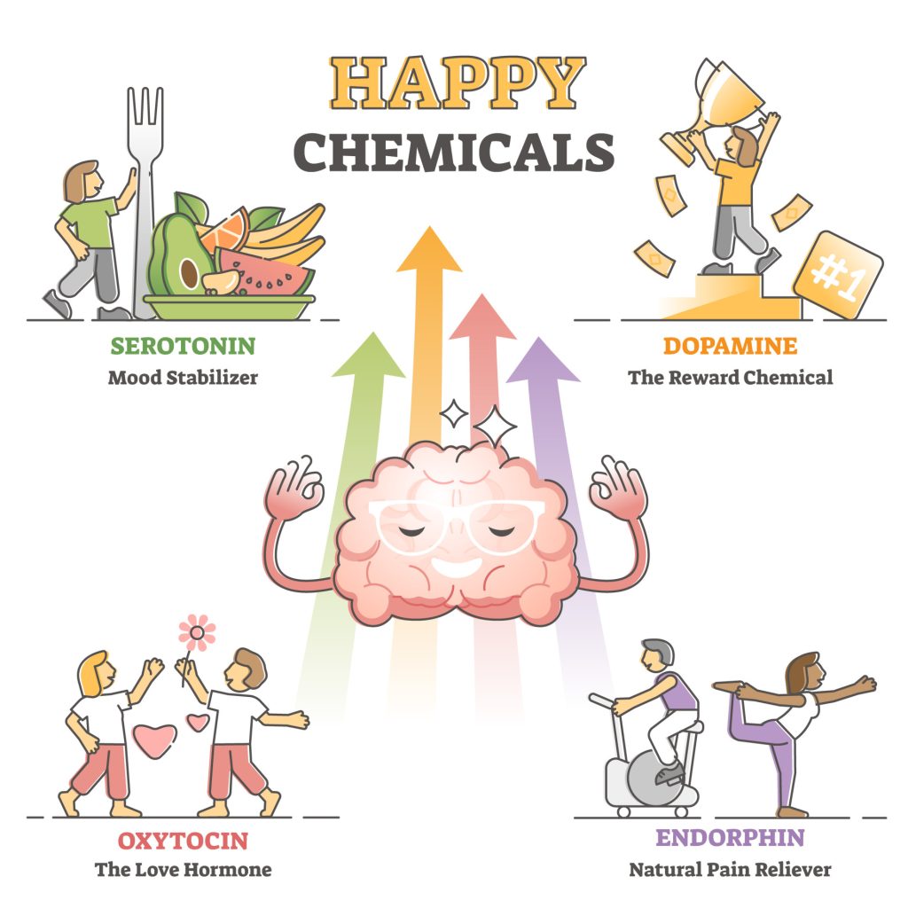 Dopamine and Serotonin: Our Own Happy Chemicals 4 Happy chemicals as good and positive mood hormonal causes outline diagram