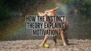 Instinct Theory Of Motivation In Psychology 4 how the instinct theory explains motivation 1