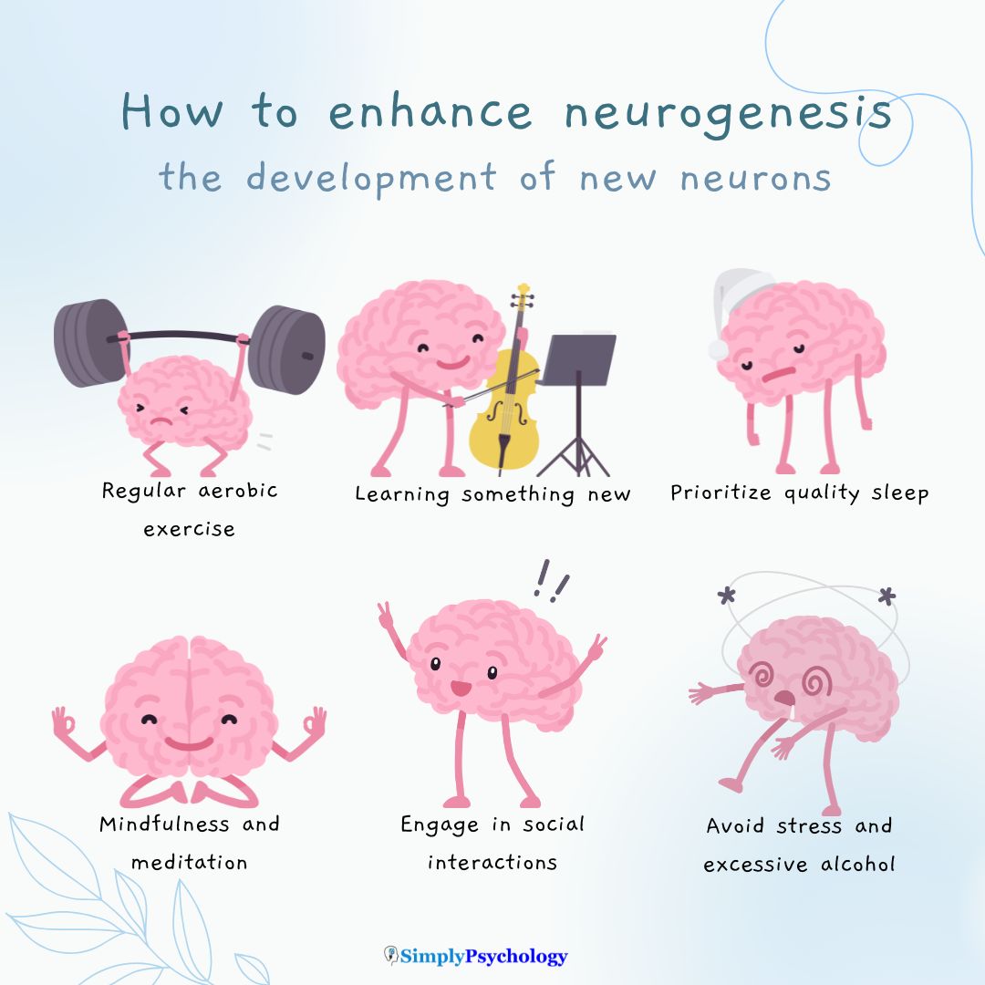 How To Increase Neurogenesis How to enhance neurons: the development of new neurons. Imagine of different brain alongside 6 tips for increasing neurogenesis such as aerobic exercises and learning something new