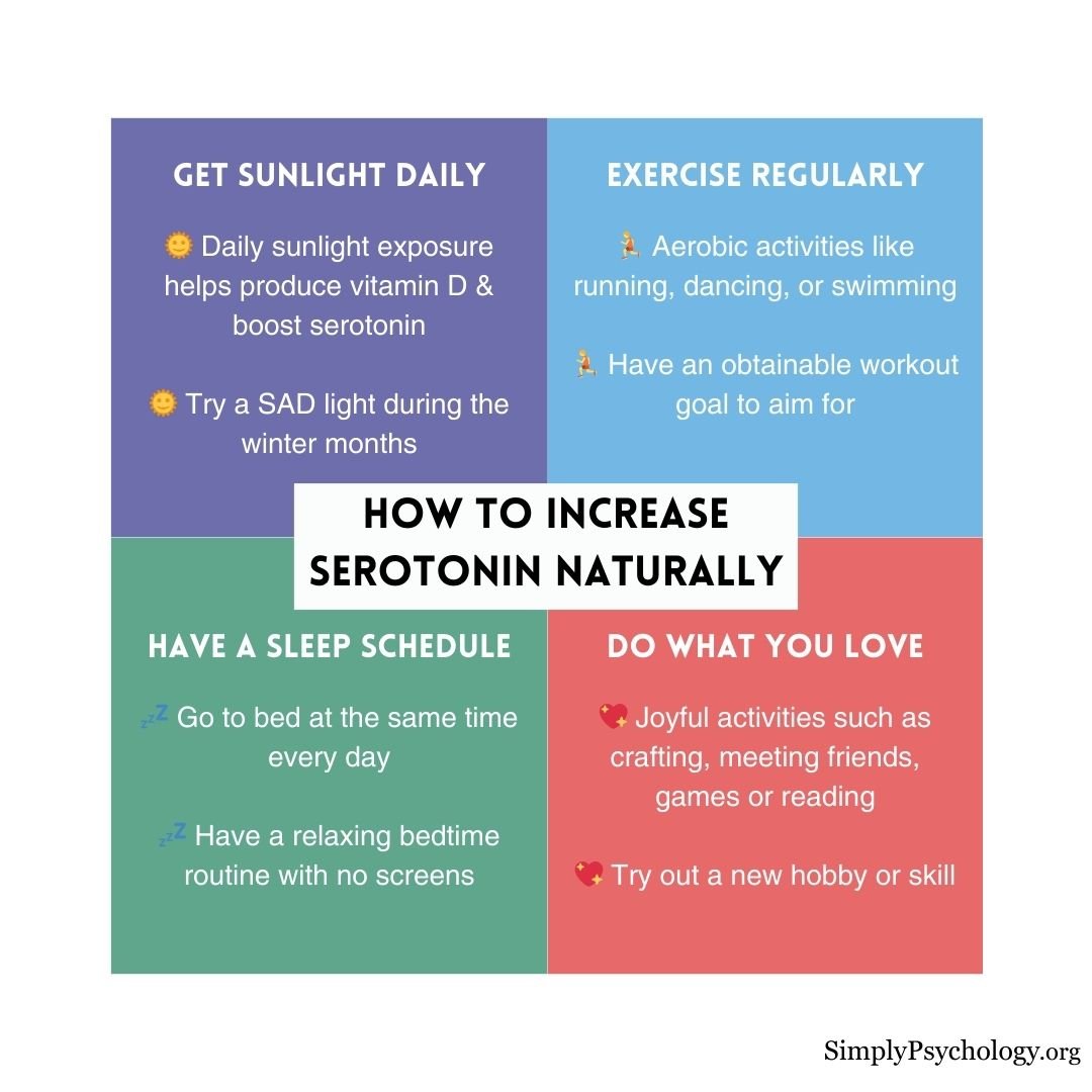 Increase Serotonin Naturally a 4 panel infographic with the title 'how to increase serotonin naturally' in the centre and 4 tips with brief explanations in each of the 4 panels: get sunlight daily, exercise regularly, have a sleep schedule, and do what you love.