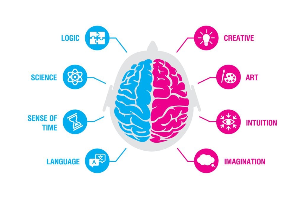 Left Brain vs. Right Brain: Hemisphere Function 1 Left and right human brain concept. Logic and creative hemispheres infographics with brain and icons of science, sense of time, language, creative, art, intuition, imagination, vector illustration