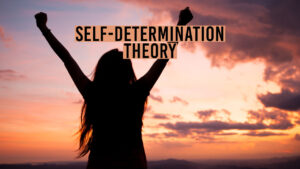 Self-Determination Theory: How It Explains Motivation 10 longitudinal study design 1 1