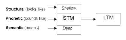 Levels of Processing Theory (Craik & Lockhart, 1972) 1 levels of processing memory model