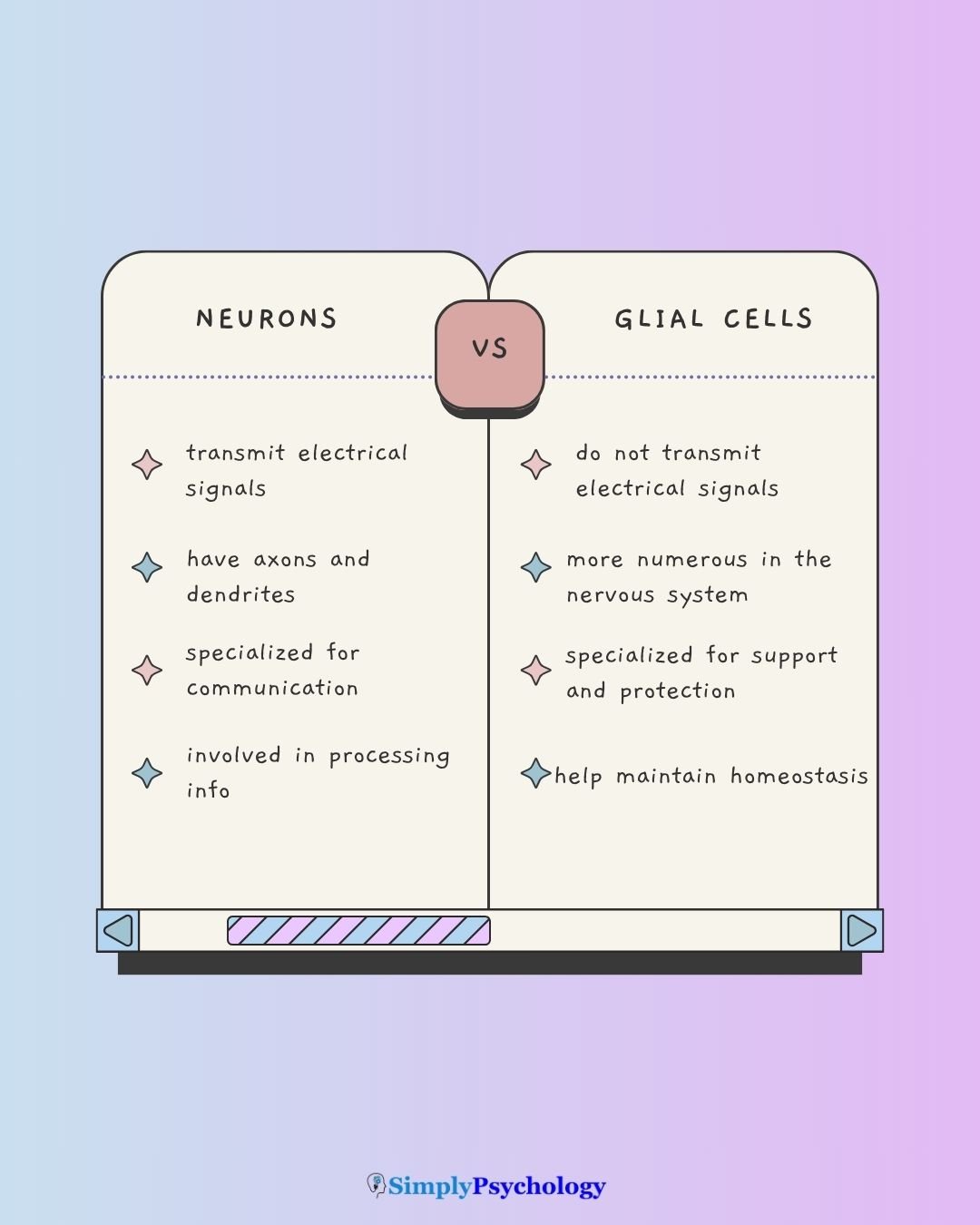 Neurons Vs Glial Cells A table outlining the differences between neurons and glial cells.