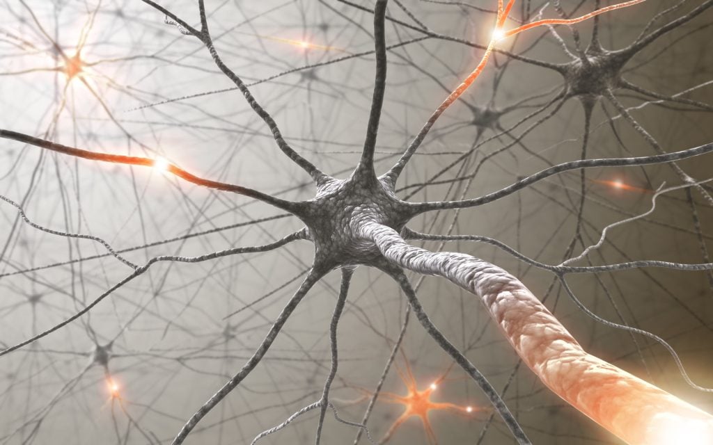 Brain Plasticity (Neuroplasticity): How Experience Changes the Brain 1 Neurons firing