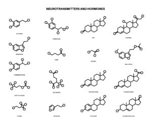Neurotransmitters Vs Hormones 5 Chemical symbols for various neurotransmitters and hormones.