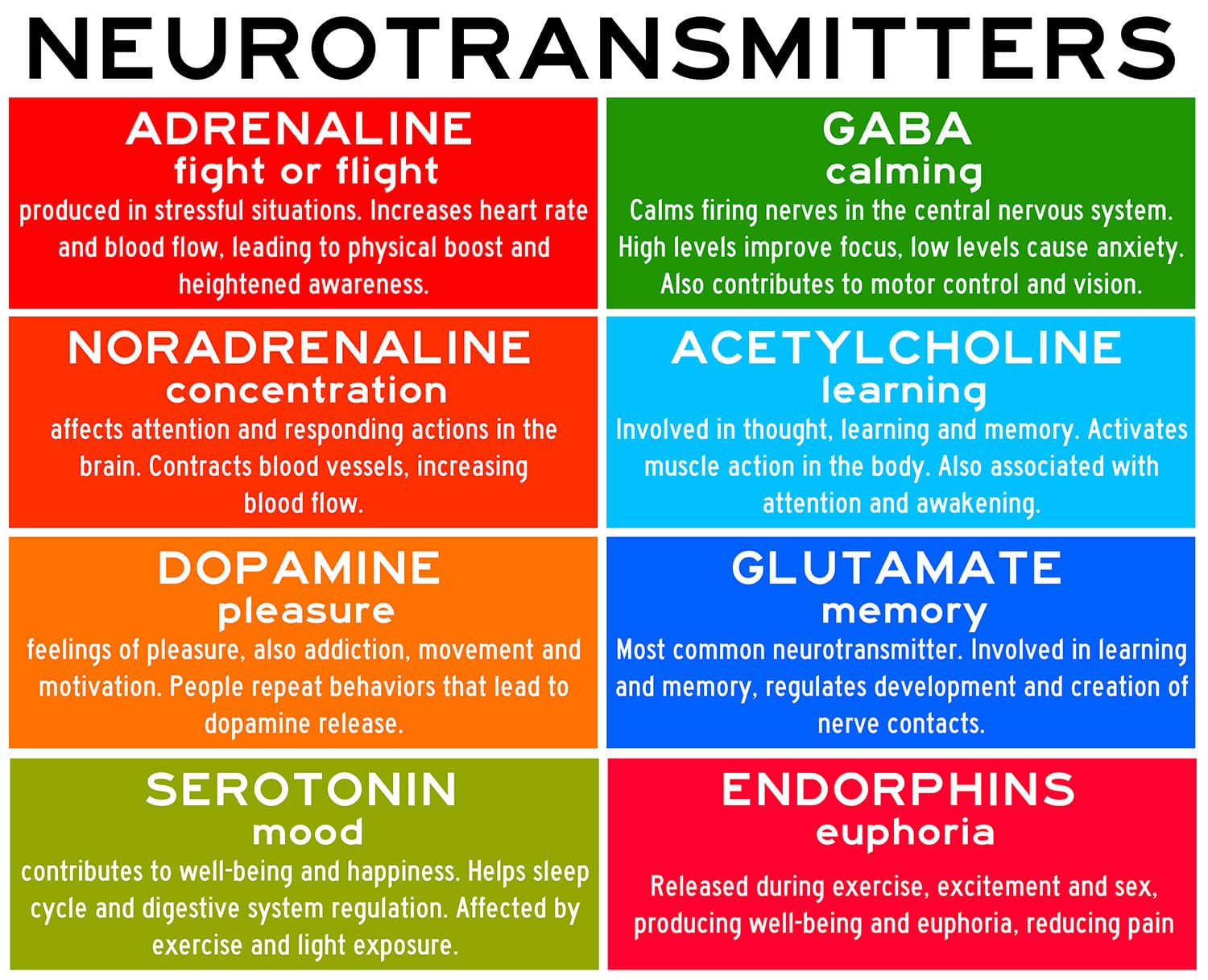 Neurotransmitters: Types, Function and Examples 2 neurotransmitters
