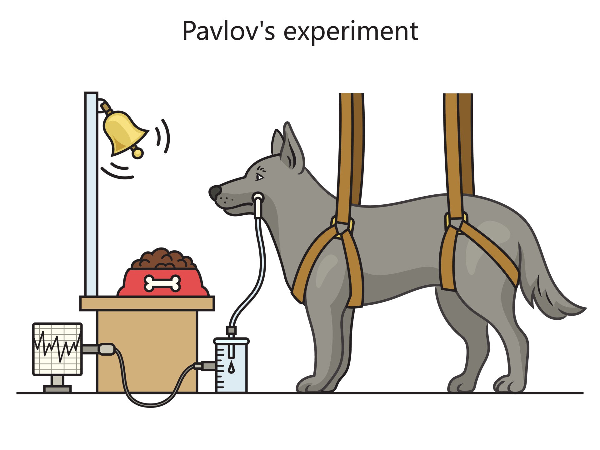 pavlov dogs