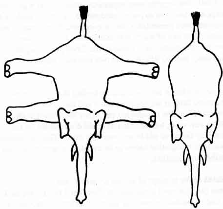 Perceptual Set In Psychology: Definition & Examples 4 percpetual set culture