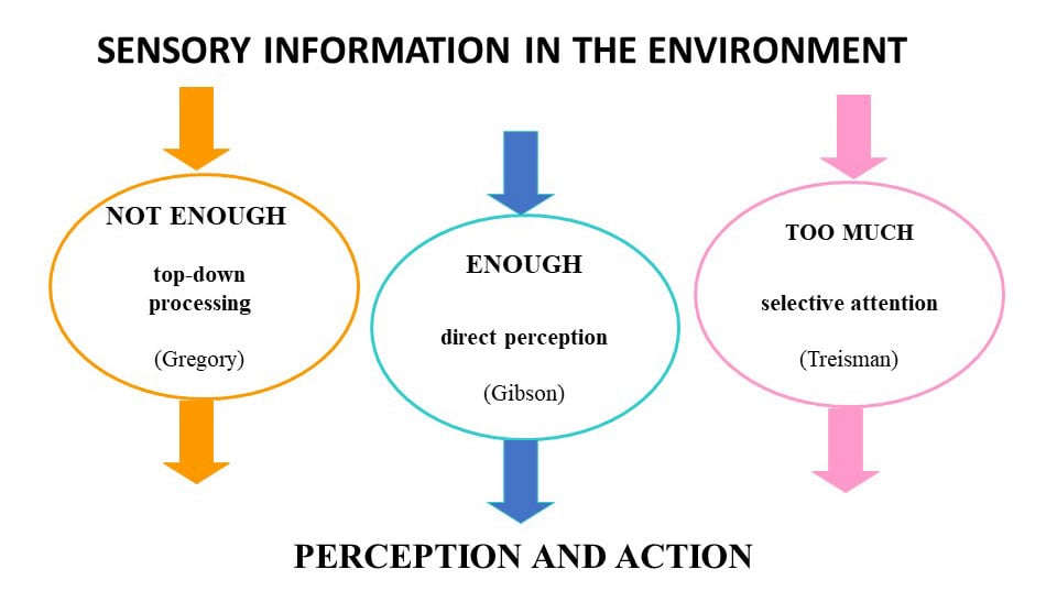 Visual Perception Theory In Psychology 2 perception theories