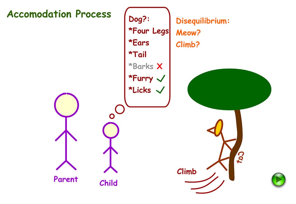 Understanding Accommodation and Assimilation in Psychology 10 Example of accommodation in Psychology