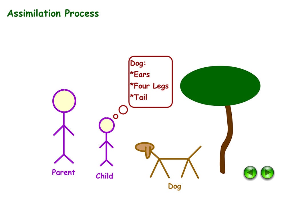 piaget-assimilation2 piaget assimilation2