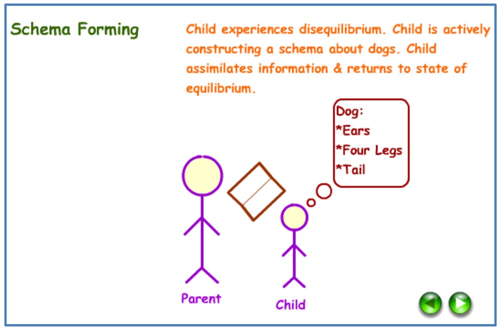 Schema Theory In Psychology 2 Example of Accommodation in Psychology