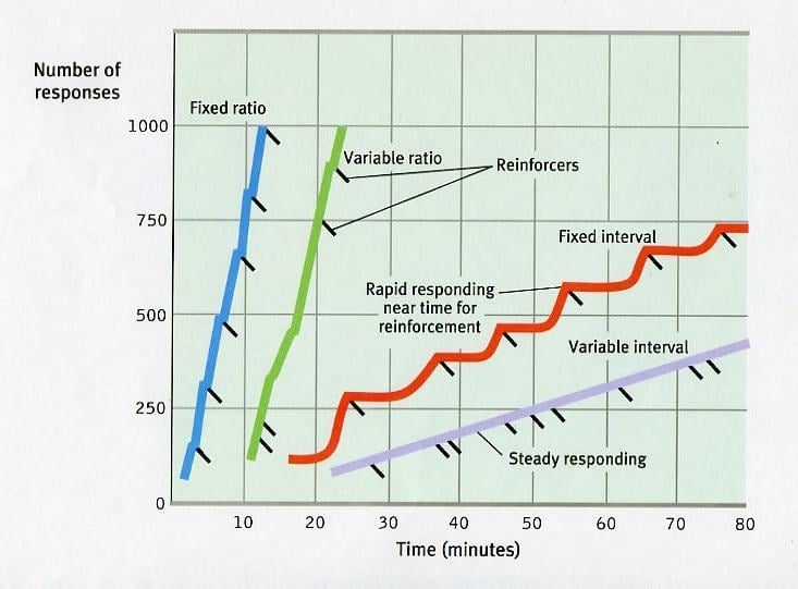 Positive Reinforcement: What Is It and How Does It Work? 3 Reinforcement Schedules Graph
