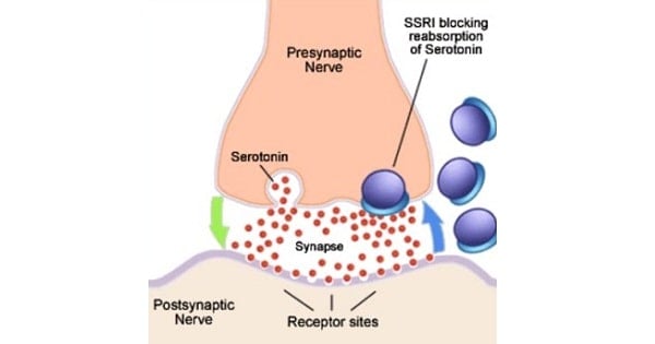 SELECTIVE SEROTONIN REUPTAKE INHIBITORS SSRI