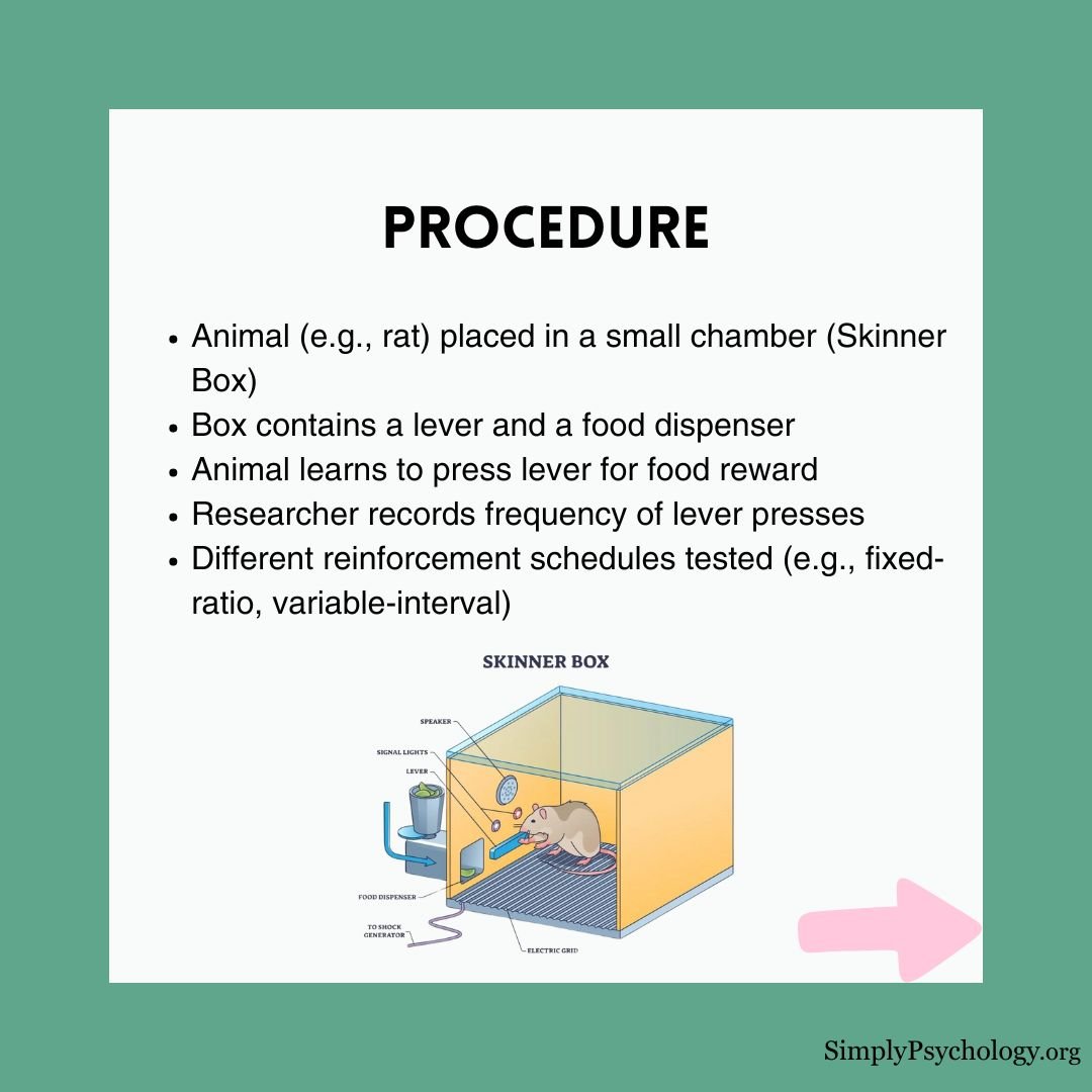 skinner box experiment 2