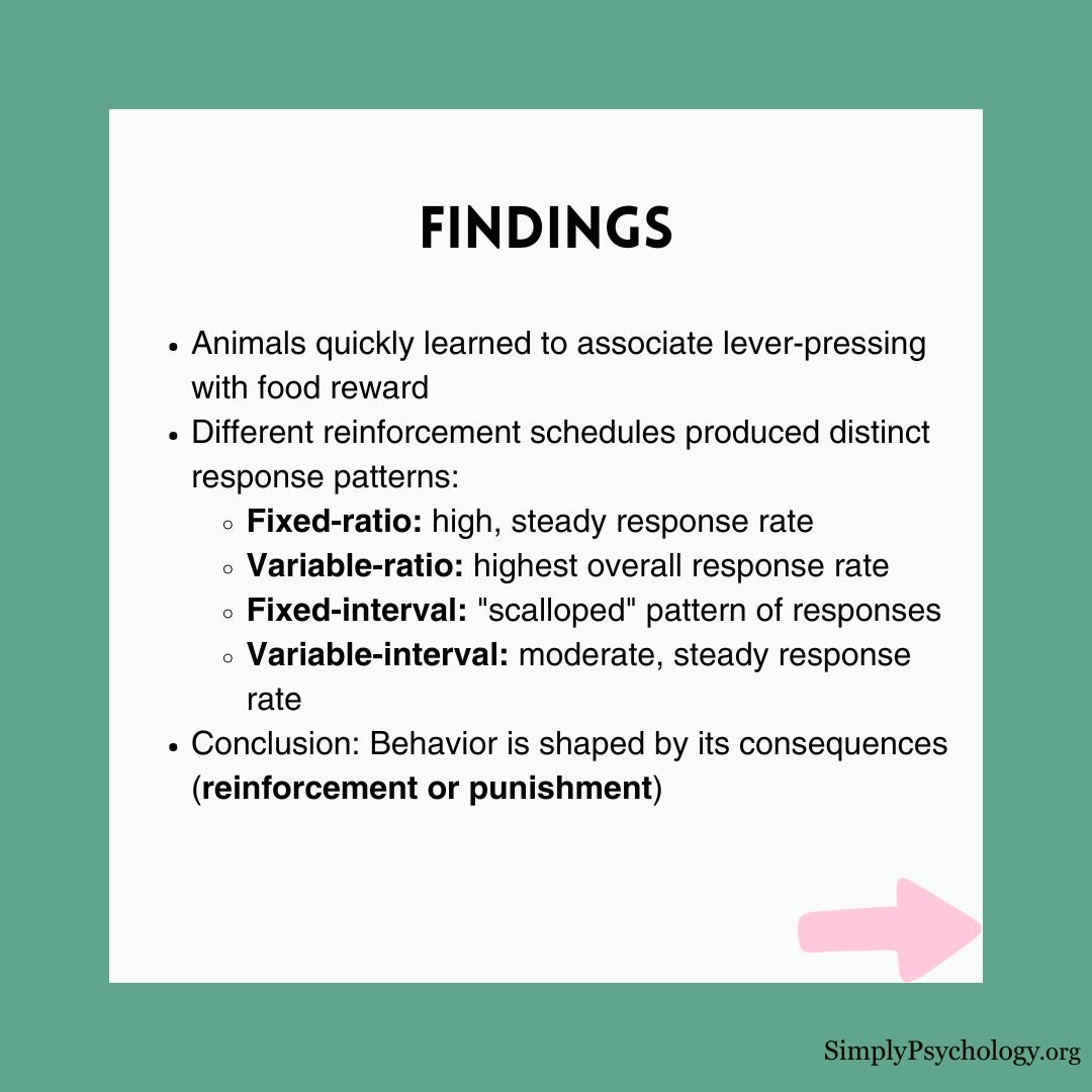 skinner box experiment 3