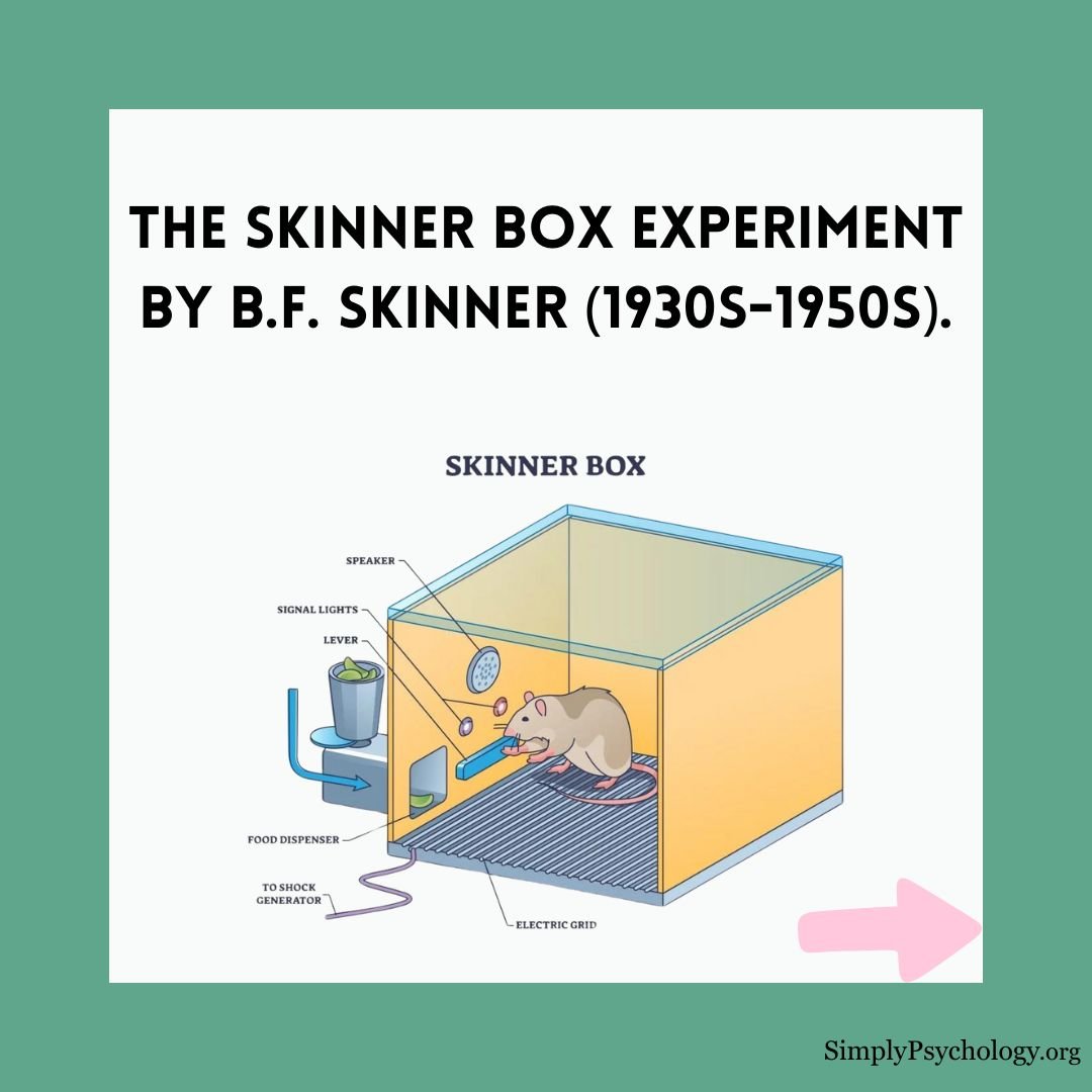 skinner box