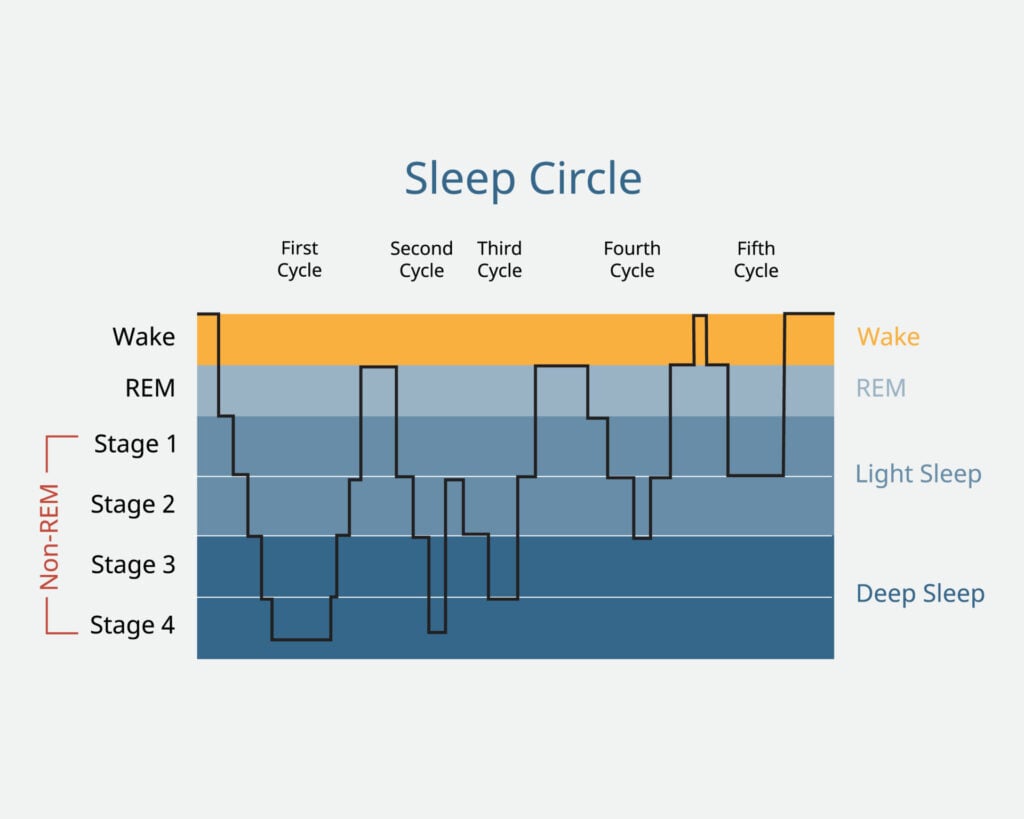5 Stages of Sleep (REM and Non-REM Sleep Cycles) 2 sleep circle with sleep stage to analysis of brain activity during sleep