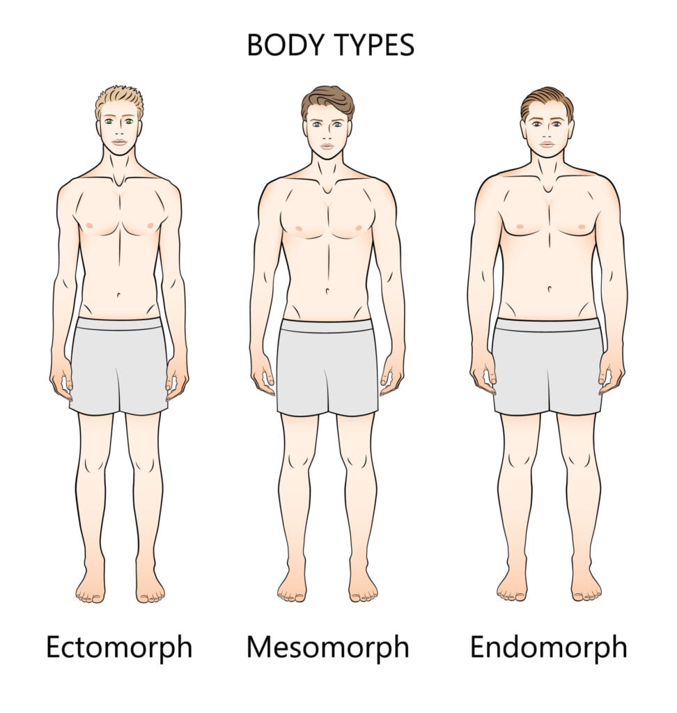 Somatotype and Constitutional Psychology 1 Human body types. Three figures. Forms: ectomorph, mesomorph and endomorph.