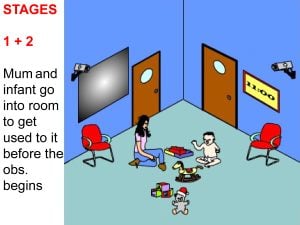 Mary Ainsworth: Strange Situation Experiment 29 strange situation