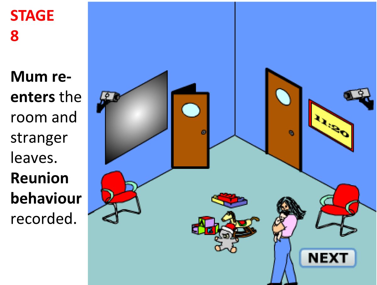 Strange Situation Experiment Episode 8 strange situation 8