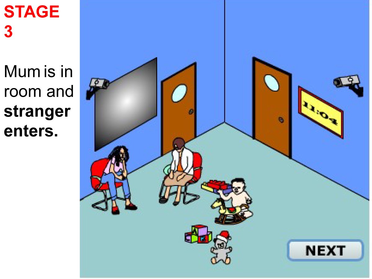 Strange Situation Experiment Episode 3 strange situation2