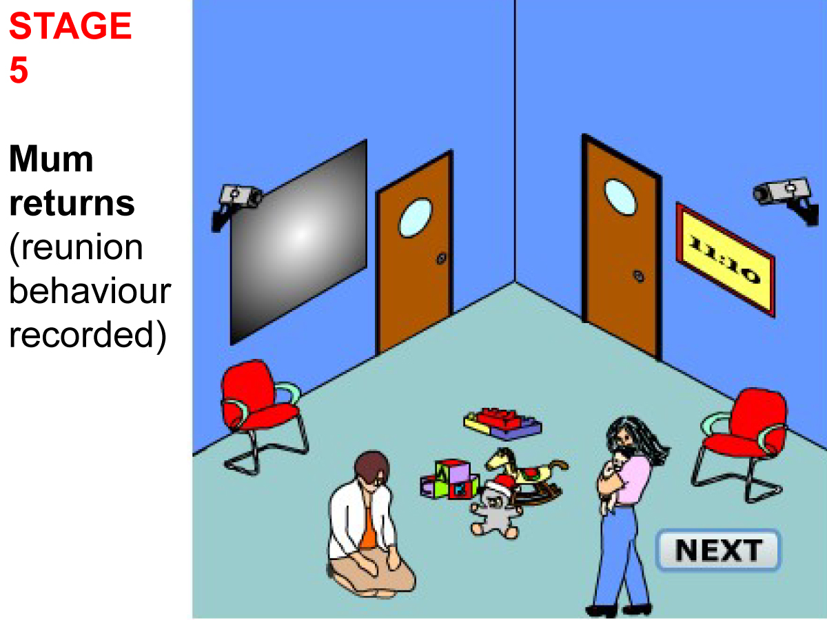 Strange Situation Experiment Episode 5 strange situation5