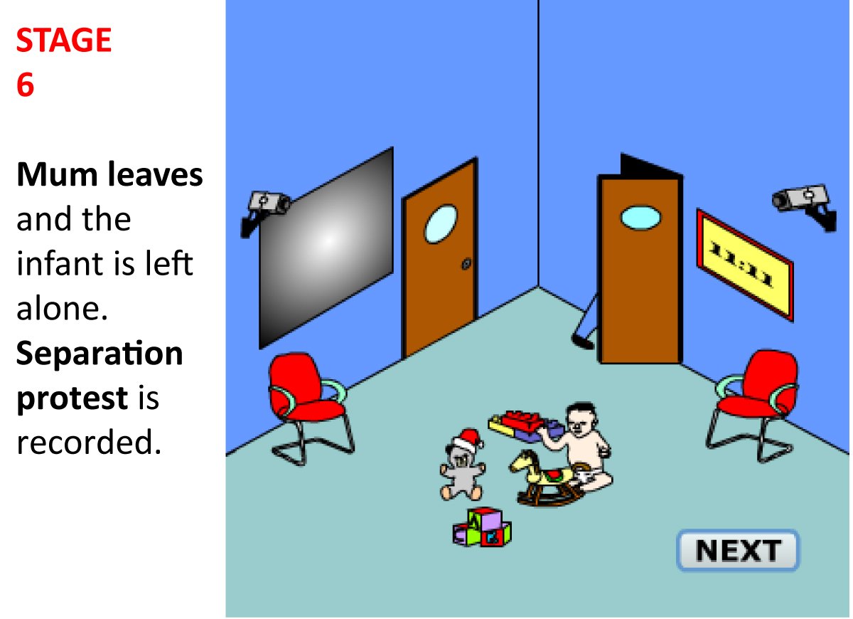 Strange Situation Experiment Episode 6 strange situation6