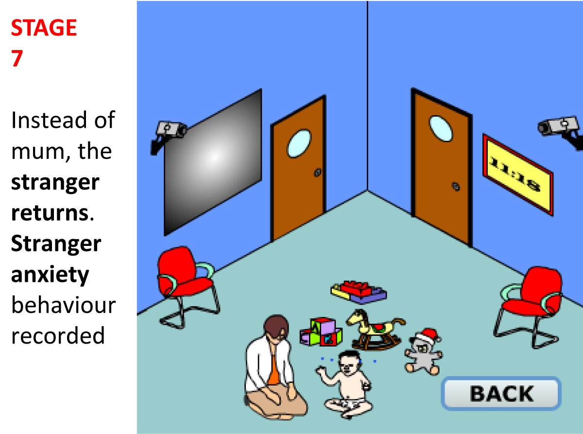 Strange Situation Experiment Episode 7 strange situation7