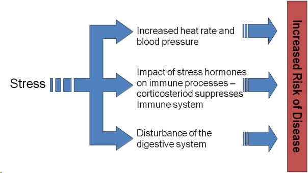 Stress, Illness and the Immune System 3 stress illness