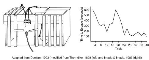 Edward Thorndike: The Law of Effect 1 Thorndike Puzzle Box